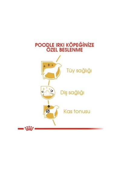 Poodle - Kuru Köpek Maması 3kg+ Yaş Mama 12 85g +ölçü Bardağı