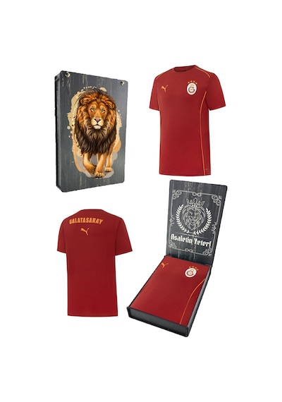 Gsstore Galatasaray Lisanslı 2024/25 Kırmızı Antrenman T-shirt Gs Aslan Baskılı Ahşap Kutulu Kırmızı - Siyah