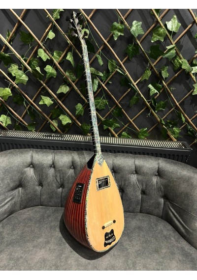 Ankara Elektro Bağlama Çift Kapak Ekolayzırlı Soft Case Dahil
