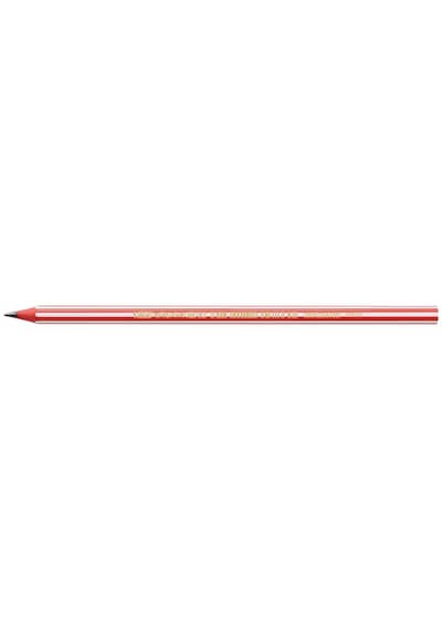 Bic Evolution Stripes Kurşun Kalem 12'li Kutu