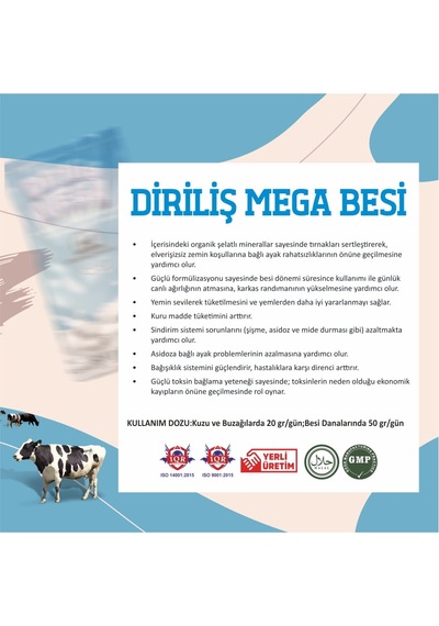 Diriliş Megabesi 25 Kg Yem Katkı