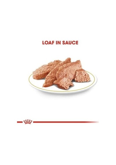 Royal Canin Adult Chihuahua Yetişkin Köpek Pouch Konserve 12 X 85 Gr