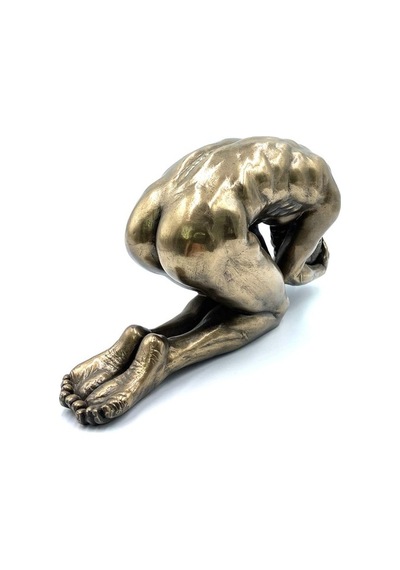 Wise Body Biblo (552956569)