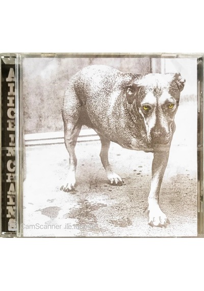 Müzik Cd Sidir - Plak Değildir Cd Alice In Chains Alice In Chai
