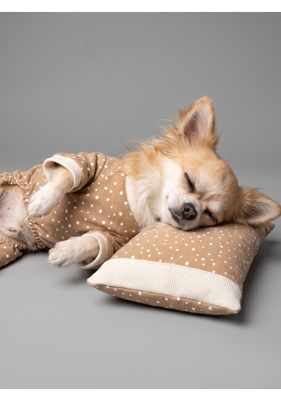 Latte Sprinkles Köpek Uyku Takımı Pamuklu Penye Köpek Tulumu Ve Mini Yastık Küçük Irklar İçin Tüy Dökülmesini Azaltır