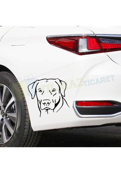 Köpek Dog Oto Sticker Araç Çıkartma Yapıştırma Etiket