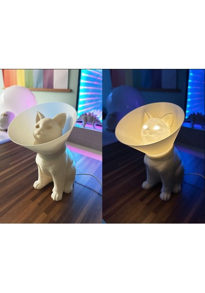 Kedi Lamba