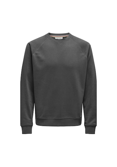 Only & Sons Onsmıchı Lıfe Reg Crew Neck Sweat Gri 22030618 001