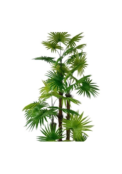 Yapay Ağaç Yelpaze Palmiye 4katlı Fanpalm 32 Yaprak Gümüş Kemerli Beyaz Saksıda 170 65cm