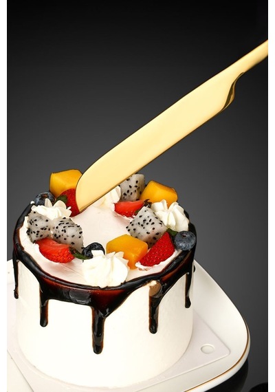 Çelik Pasta Spatula Bıçak Seti Kek Sunum Cin615sr