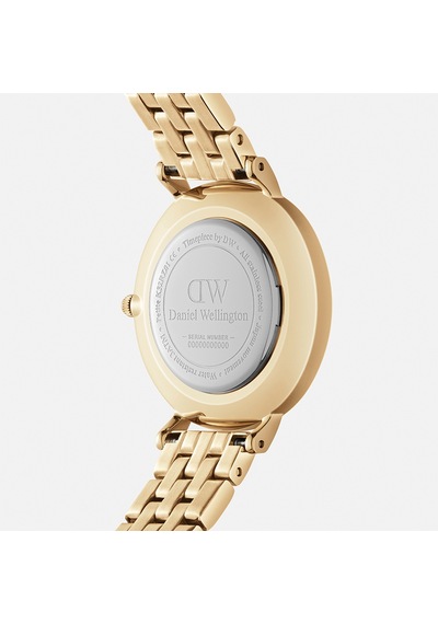 Daniel Wellington Dw00600682 Kadın Kol Saati Diğer