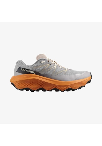Salomon Ultra Flow 2 Gore-tex Erkek Ayakkabısı L47884200 Çok Renkli
