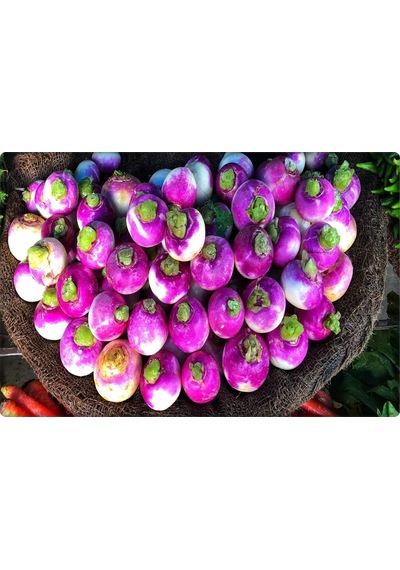 Bt Burşal Şalgam Totumu 10 GR