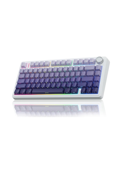 Aula F75 Mekanik Rgb Tkl Seiya Switch Kablosuz Makrolu Hot Swap Klavye Gradyan Mor