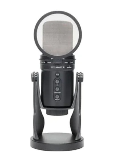 Profesyonel Mikrofon Pop Filtresi 9,5 Cm 1