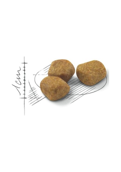 Indoor +7 Yaşlı Kuru Kedi Maması 3,5 Kg