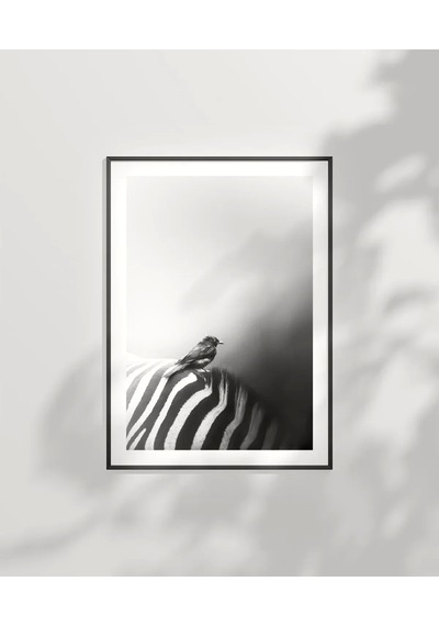 Çerçevesiz Poster Çizgilerin Üzerinde