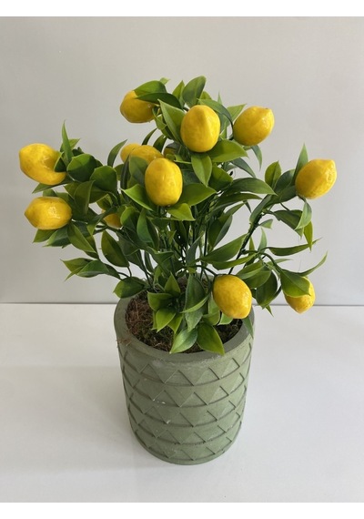 Rüzgar Yapay Çiçekçilik Beton Saksıda Limon Ağacı Yeşil