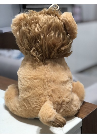 Sevimli Aslan Peluş Oyuncak Uyku Arkadaşı Büyük Boy 35 Cm Çok Renkli