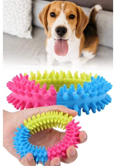 Köpek Isırma Aparatı Diş Eğitimi İçin Silikon Diş Isırma Aparatı Renkli Köpek Oyuncağı