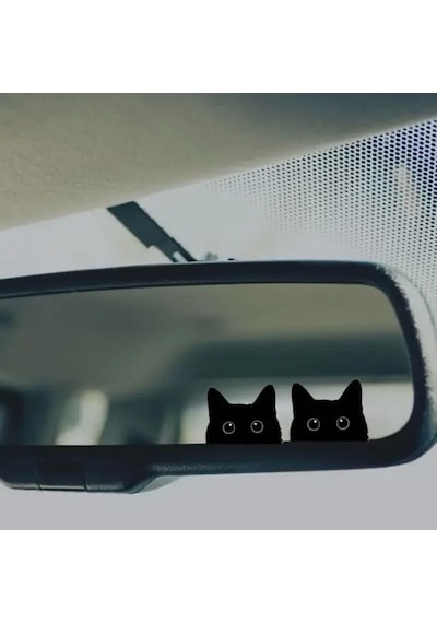 Meraklı Kediler Desenli Sticker Etiket 3 Adet Çok Renkli