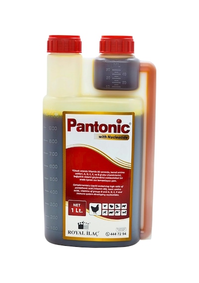 Royal İlaç Pantonic 1 Lt. Vitamin Ve Mineral Desteği