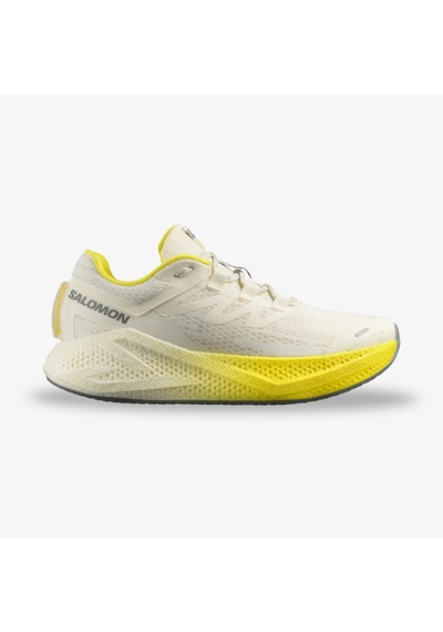 Salomon Aero Glide 3 Erkek Krem Koşu Ayakkabısı L47975900 2800400