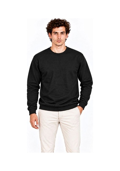 Erkek 2'li Bisiklet Yaka İçi Şardonlu 2 İplik Düz Uzun Kollu Regular Fit Sweatshirt - Siyah & Gri Çok Renkli