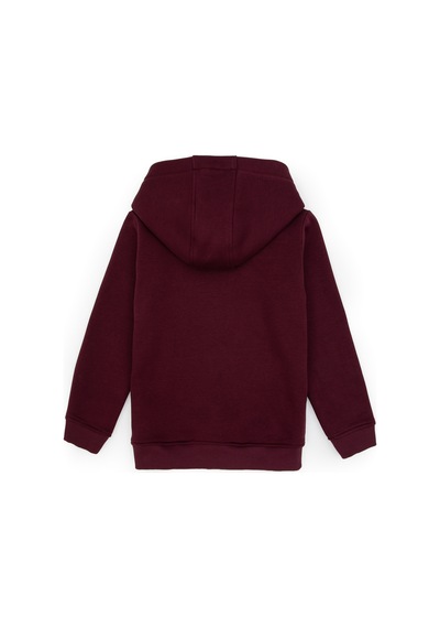 U.S. Polo Assn. Erkek Çocuk Bordo Basic Kapüşonlu Sweatshirt 50313808-VR177