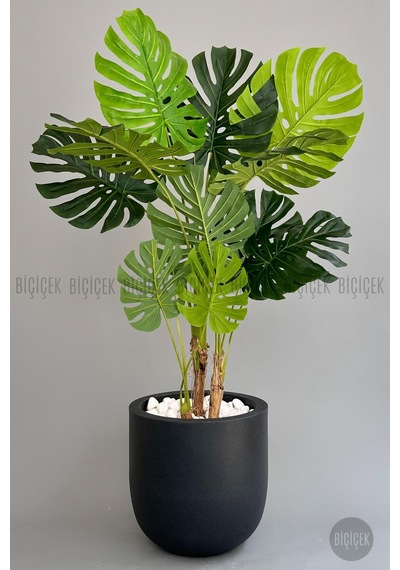 Yapay Monstera Ağacı Deve Tabani 180 Cm Antresi T Çeşme Saksıda Antresit
