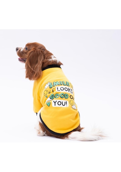 Yellow Loviisa Polarlı Küçük Irk Köpek Sweatshirtü L Sarı