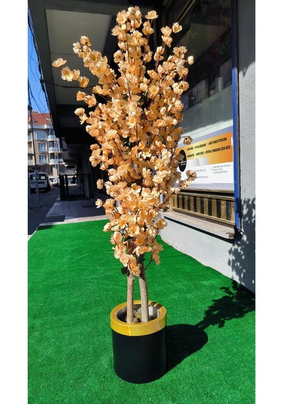 Rüzgar Yapay Çiçekçilik 160 Cm Kavun İçi Renk Bahardali Ağacı Kavunici