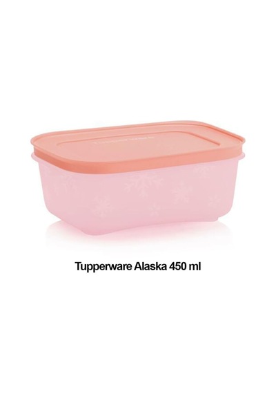 Alaska 450 Ml 4 Lü Derin Dondurucu Ve Buzdolabı Saklama Kabı Diğer