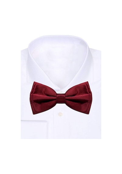 Hapshoe Bordo Ayarlanabilir Saten Çocuk Papyon Ve Mendil Seti Bordo