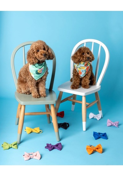 10 Renk Seçenekli Köpek Ve Kedi Evcil Hayvan Papyon/fular Lila, 1
