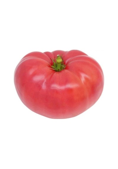 20 Adet Pembe Biftek Domates Tohumu