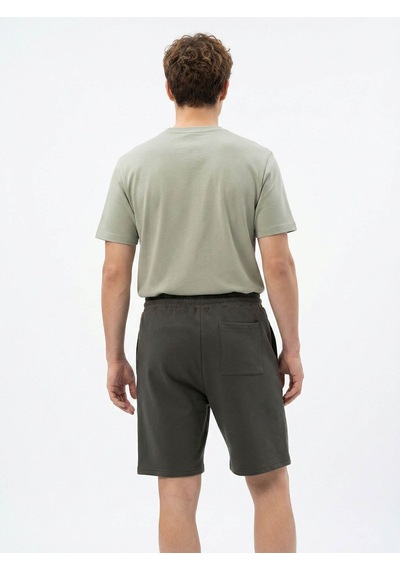 Loft Regular Fit Haki Erkek Şort Lf2039978 Haki
