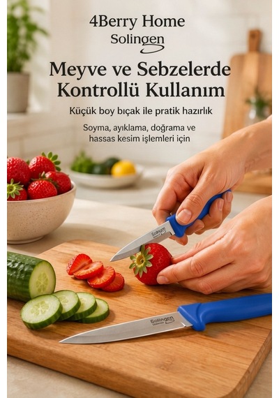 Solingen 2 Li Paslanmaz Çelik Mutfak Bıçağı Seti Et, Meyve Ve Sebze Bıçağı Mavi
