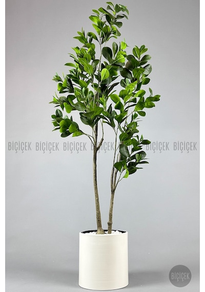 Yapay Manolya Ağacı 150 Cm Krem Metal Saksıda