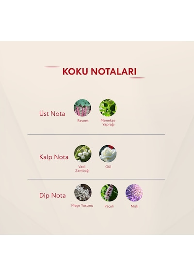 272 + 685 Kadın / Erkek Parfüm Edp 50 Ml Floral / Fresh - Mnms272 Baharat