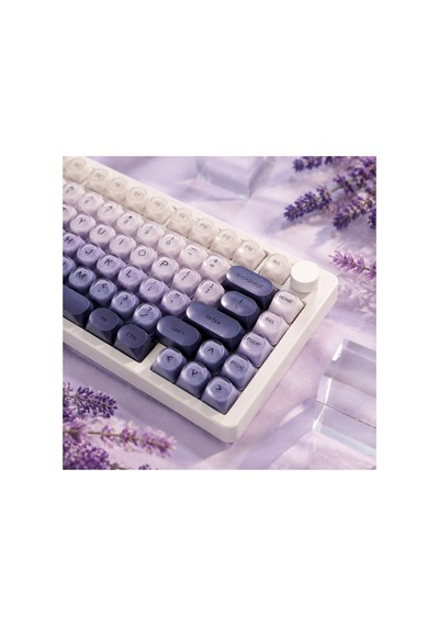 Leaven 128 Tuş Pbt Keycap Seti - Retro Yuvarlak Moa Profil Cherry Mx Uyumlu Klavye Tuşları - Mor
