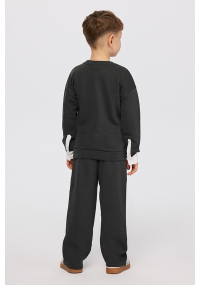 Panço Erkek Çocuk Dinozor Baskı Antrasit Sweatshirt Gri