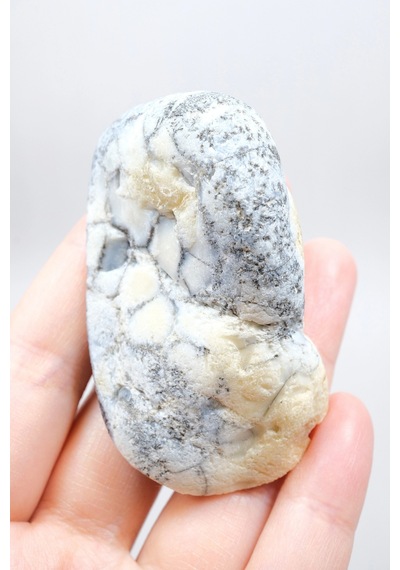 Mist Forest Dendritic Opal Deep Blue And Snowy White Merlinite Specimen