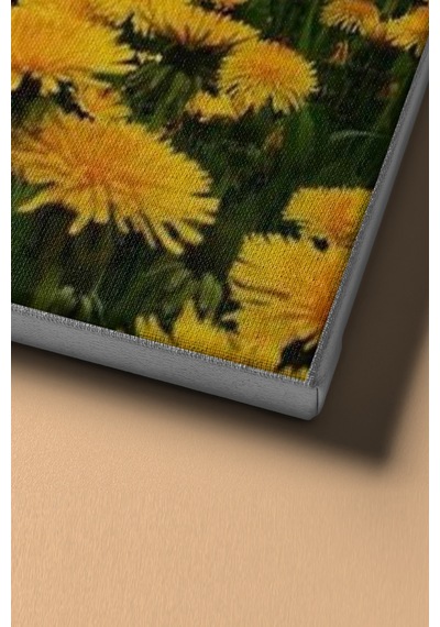 Webstyle Sayılarla Boyama Seti Kasnaklı Karahindiba Bahçesi 50 X 65 Cm
