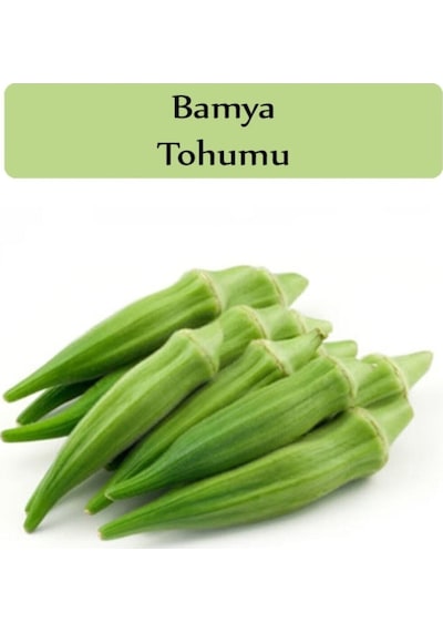 100 Adet Tohum Organik Bahçe Sultani Uzun Adana Bamyası Saksılık  Bamya Tohumu
