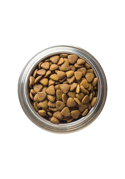 Sokak Hayvanları İçin 1kg Mama Bağışı