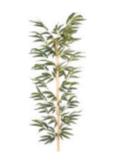 Yapay Bambu Dalı 150 Cm. Çok Renkli