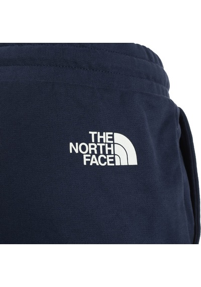 The North Face W Logowear Short Kadın Şort Nf0a7qzx8k21 Mavi