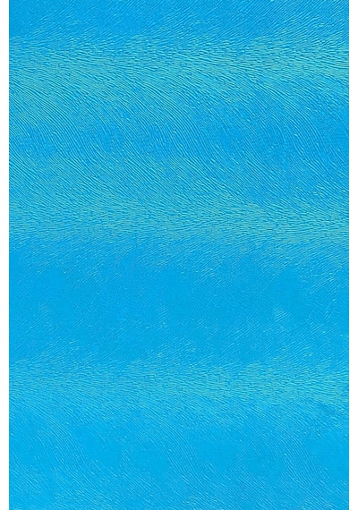 Enesar Home Tay Tüyü Premium Döşemelik Kumaş Taytüyü Turkuaz 100 x 140 cm