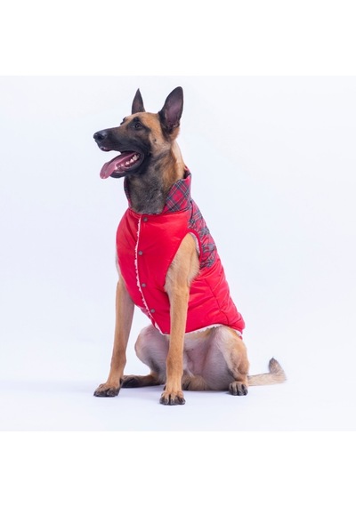 Kırmızı Plaid Ekose Desen Yelek Büyük Irk Köpek Yeleği Köpek Kıyafeti Köpek Yağmurluk